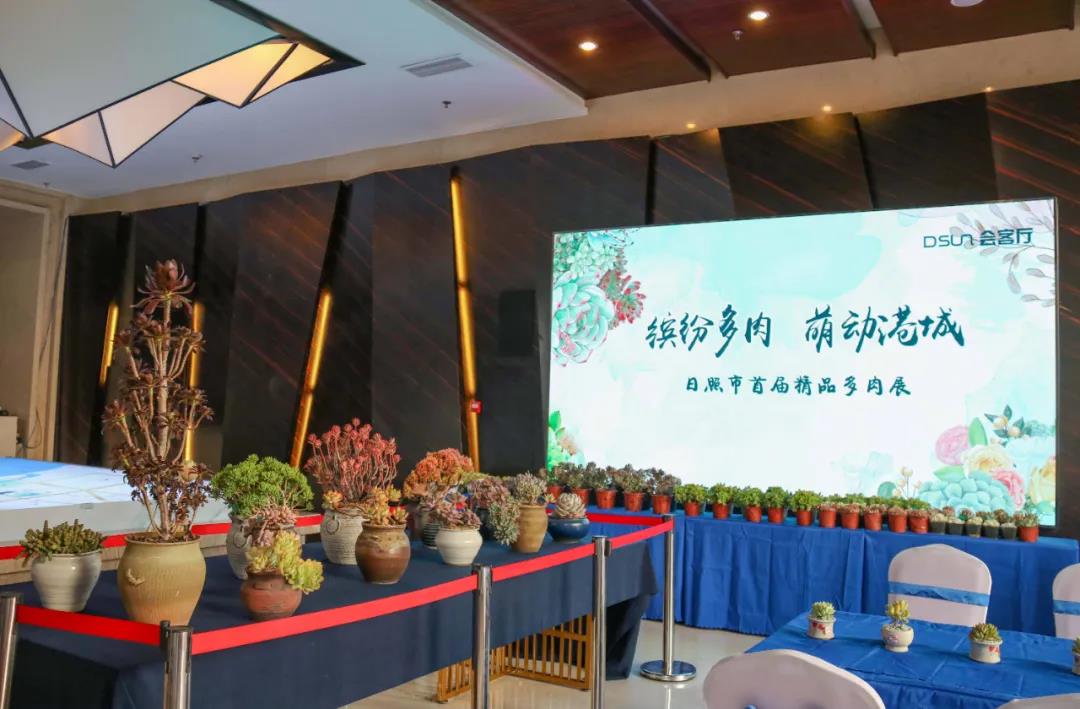 新奥2025年免费资科大全